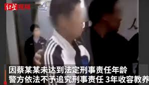 大连13岁男孩杀害10岁女童案民事诉讼今开庭:被告缺席